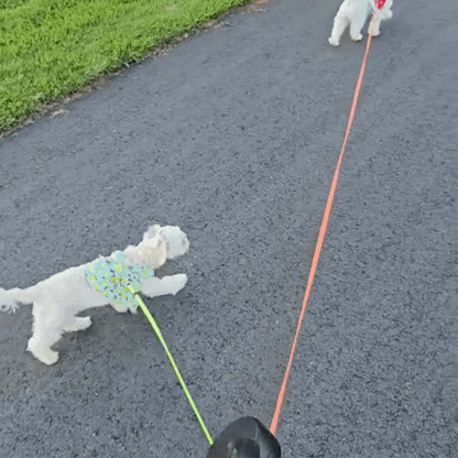 Dual Dog Leash